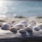 读者「海边捡贝壳」的评论头像